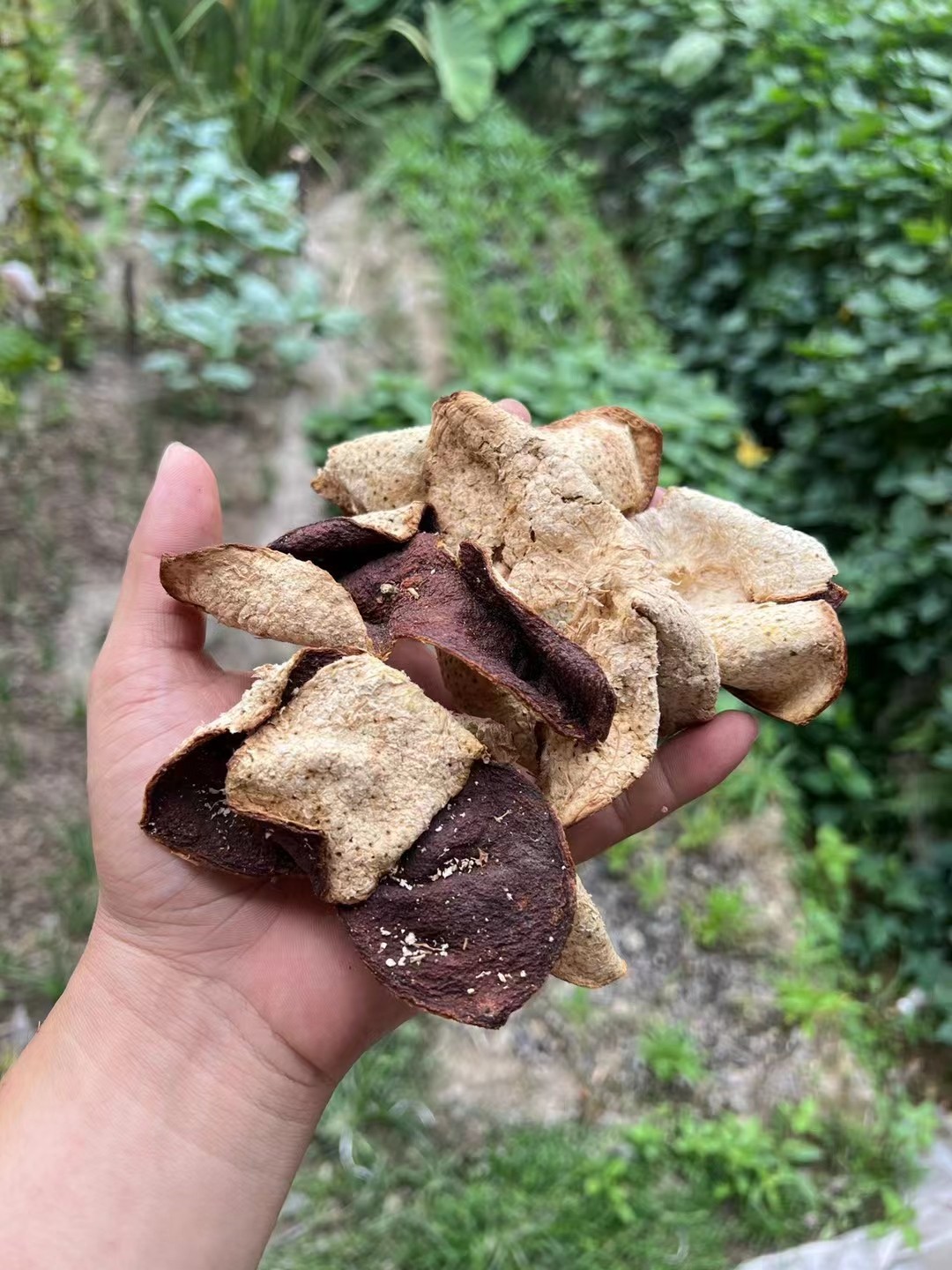 9a9a49c6c54cf83865ea4973372cecc4.jpg 9a9a49c6c54cf83865ea4973372cecc4.jpg