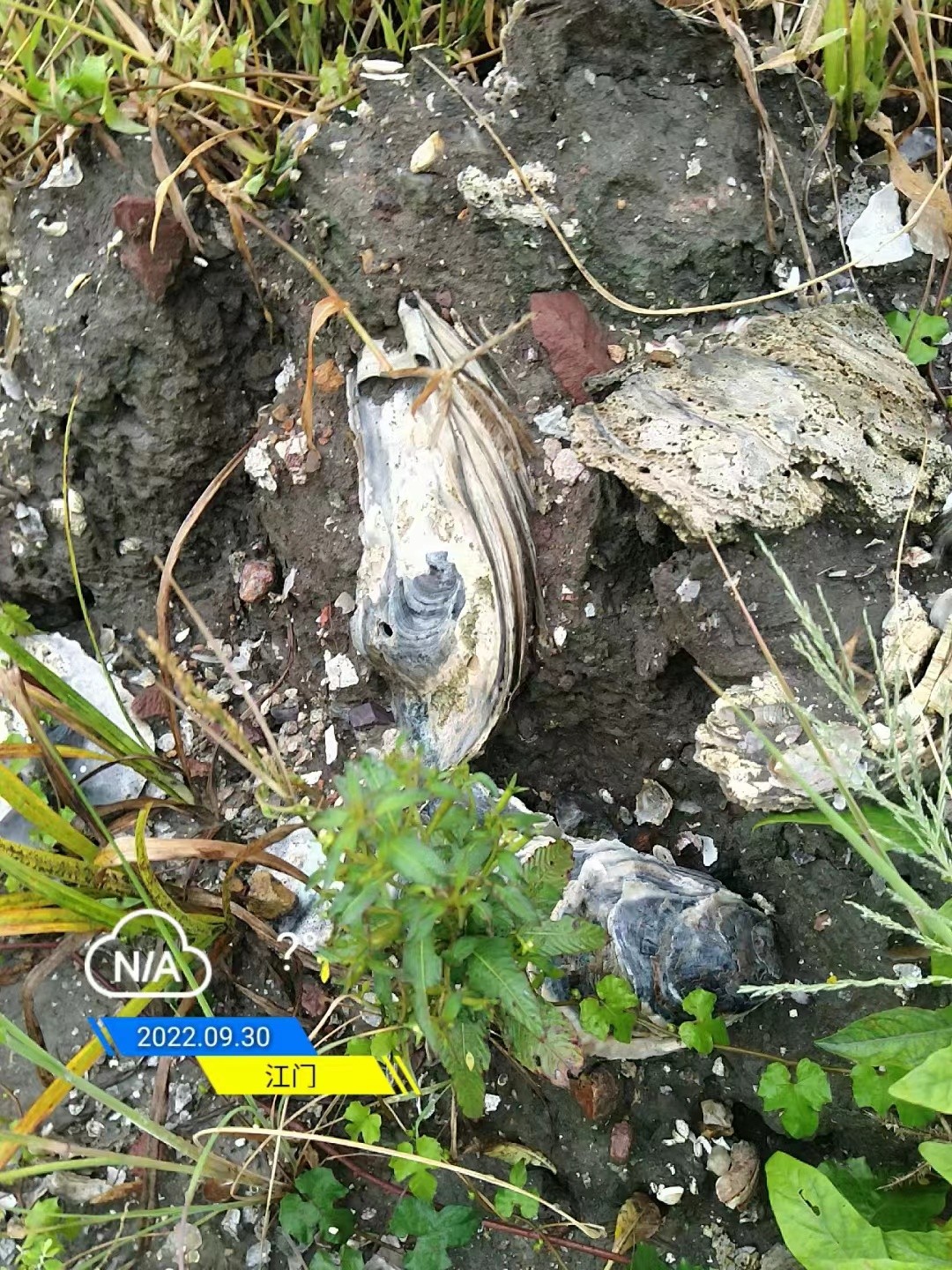 0c626fd47e0baf2d9e400781d9b6b999.jpg 0c626fd47e0baf2d9e400781d9b6b999.jpg