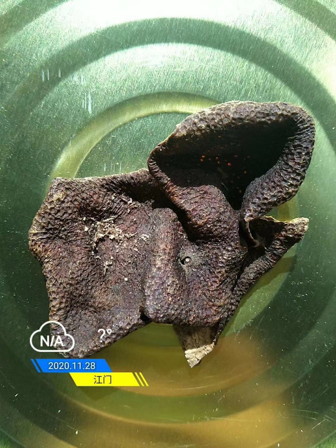 新會老陳皮.jpg 新會老陳皮.jpg