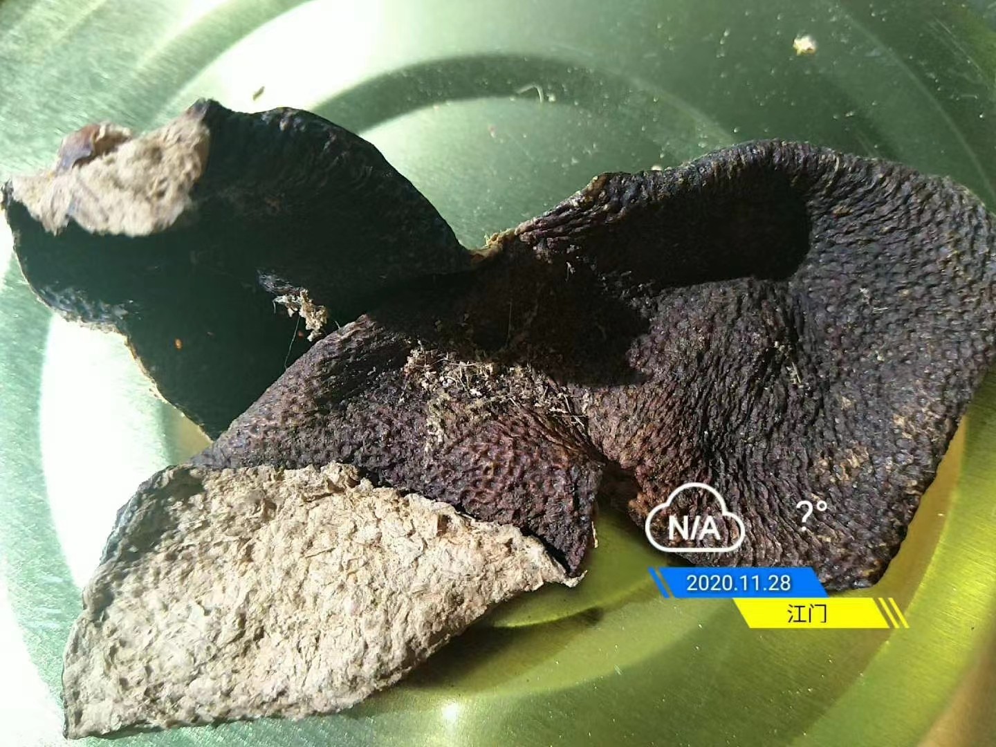 5b老陳皮.jpg 5b老陳皮.jpg