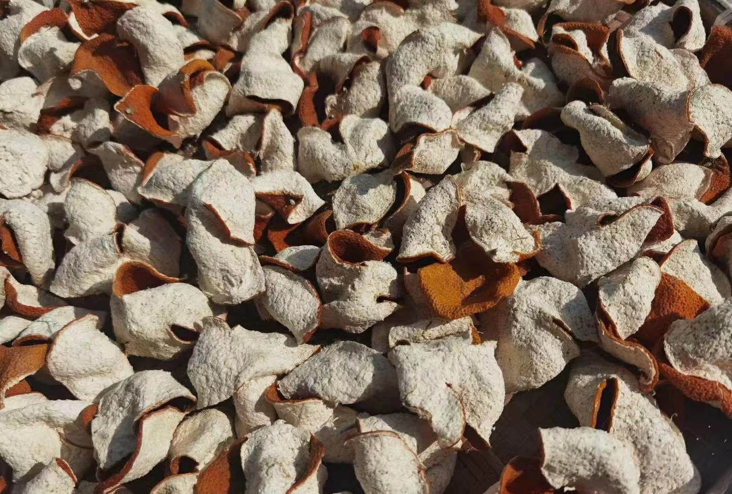 3934e48364884bc1a0bd01aa5e1f823c.jpg 3934e48364884bc1a0bd01aa5e1f823c.jpg