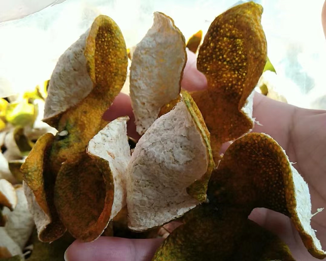 b535491af528d50a3c72b2e13d8b8400.jpg b535491af528d50a3c72b2e13d8b8400.jpg