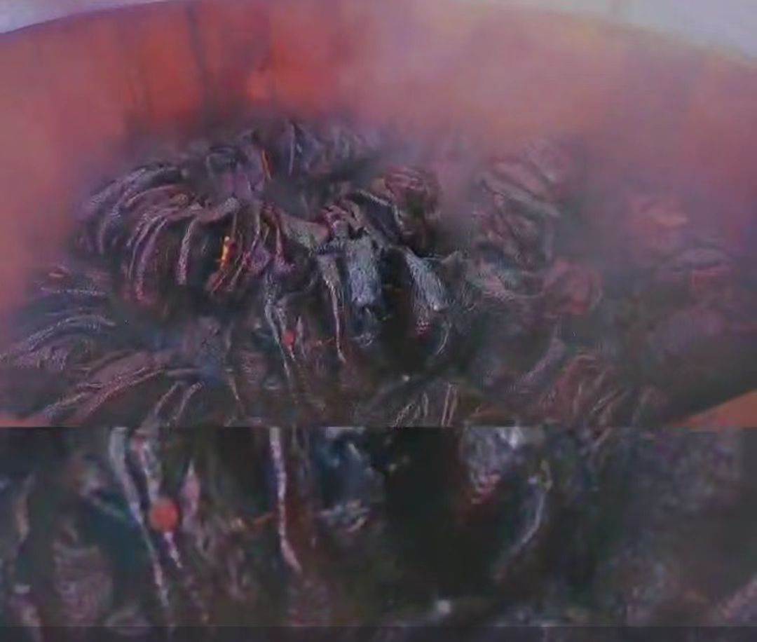 d581975de8343ccc5f4681cb0d6d5d74.jpg d581975de8343ccc5f4681cb0d6d5d74.jpg