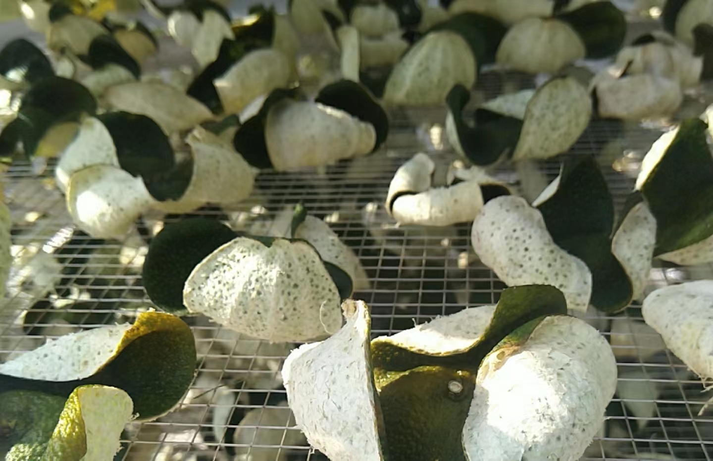 dd84a84443917abcfa6f8ca67b91ef42.jpg dd84a84443917abcfa6f8ca67b91ef42.jpg