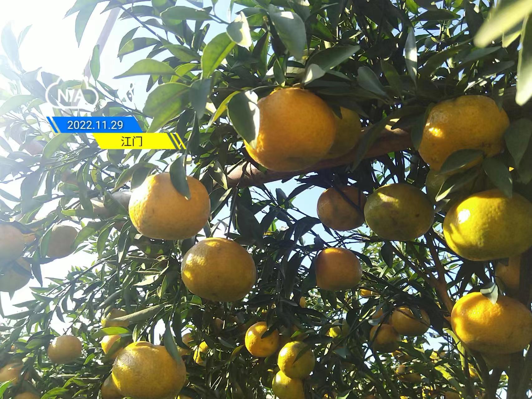 9dc1af09cca800f9da02901a36980893.jpg 9dc1af09cca800f9da02901a36980893.jpg