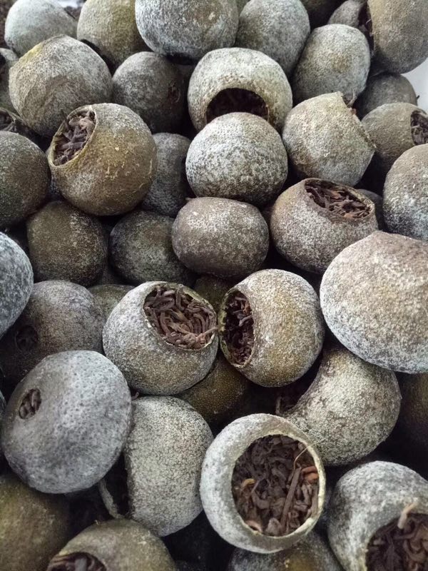 252a33ed5b110eb5541fe6ce3539a347.jpg 微信圖片_20230710204257.jpg