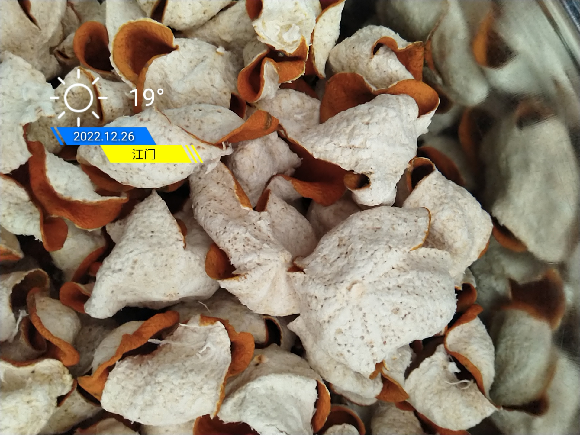 5a56ec9b6419deacb50e62037d15d1d1.jpg 5a56ec9b6419deacb50e62037d15d1d1.jpg