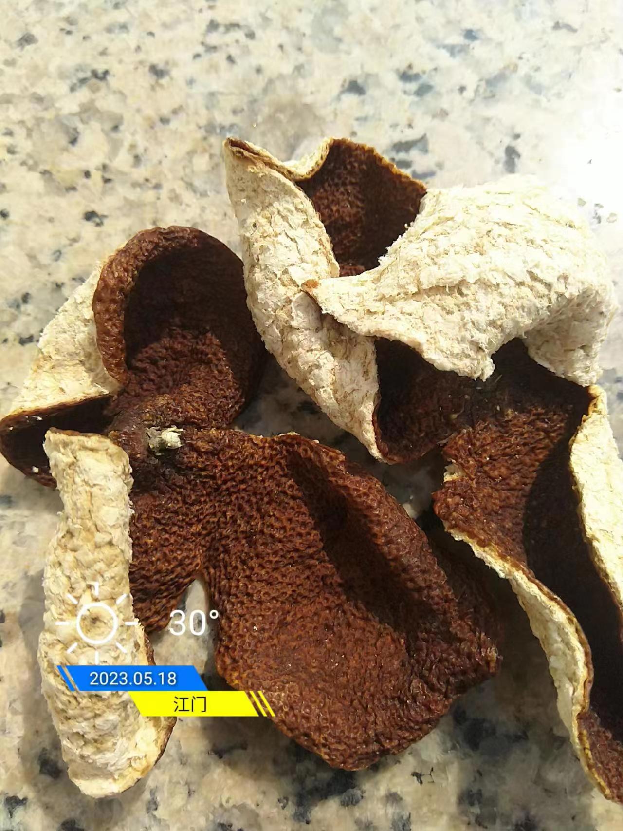 810991310e0cd338f2e8d25b764c0026.jpg 810991310e0cd338f2e8d25b764c0026.jpg