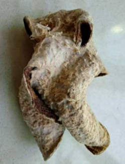 ad0a82a25194751829e414c53141e619.png 微信截圖_20230719175656.png