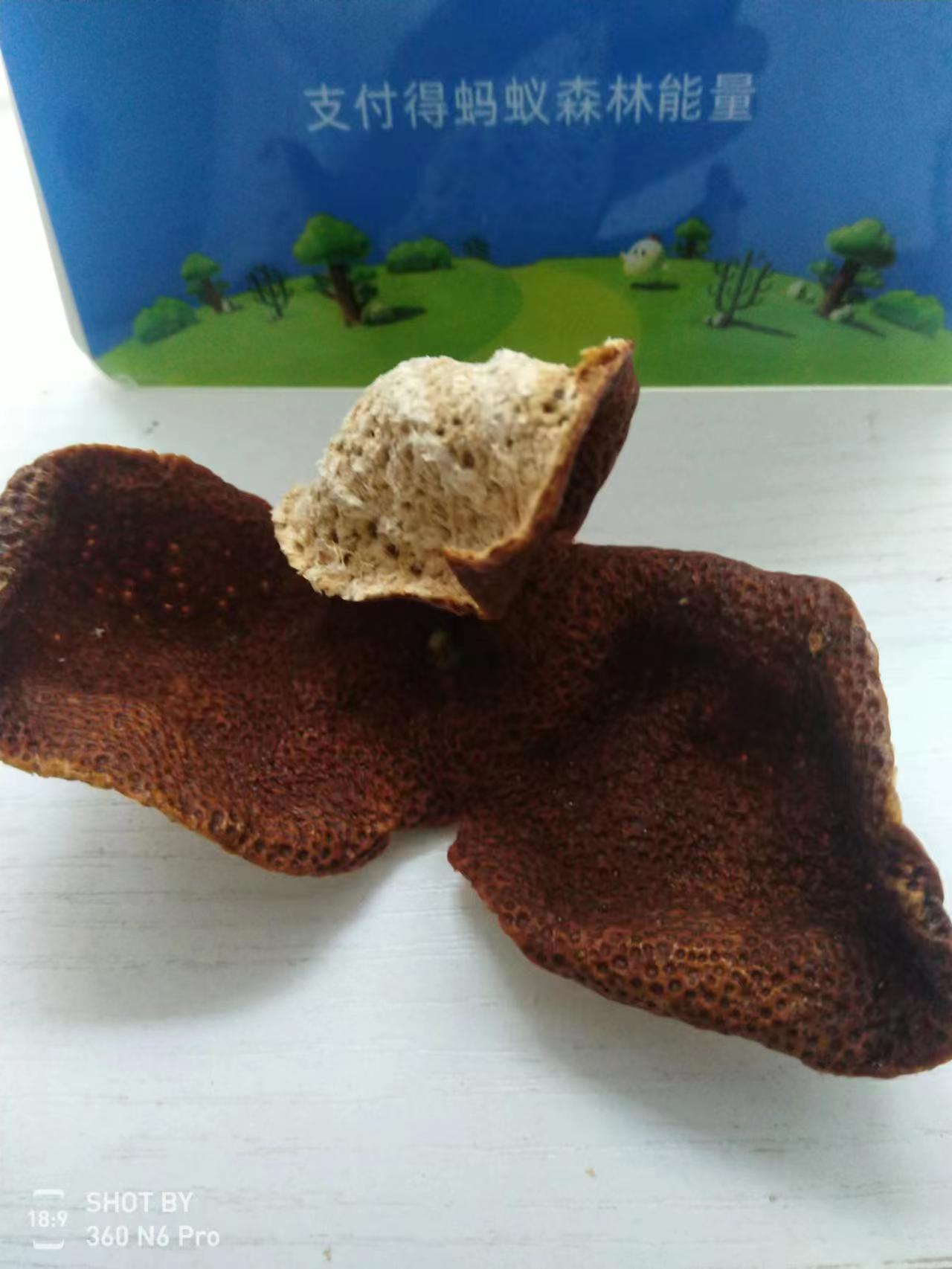 d3561737e701882fae510a59dcb8db6a.jpg d3561737e701882fae510a59dcb8db6a.jpg