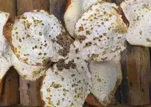 ff4ef71b6b93558118e5e848208d53b8.png 微信截圖_20230719174523.png