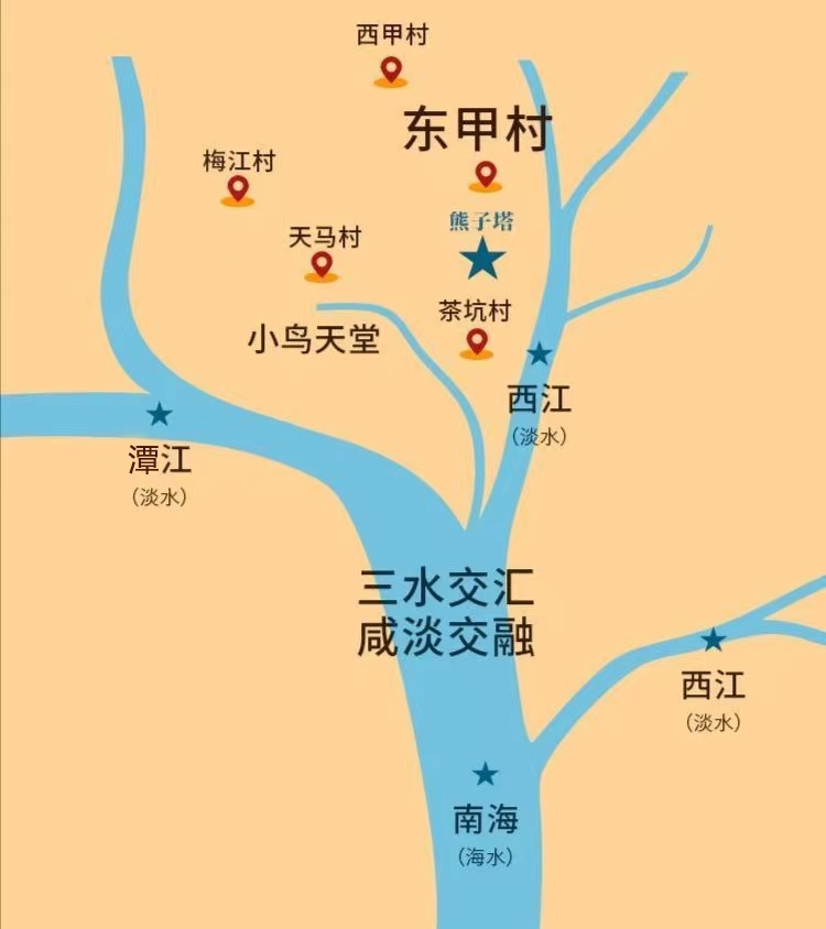 真正新會(huì)陳皮苦不苦？泡水發(fā)甜為啥