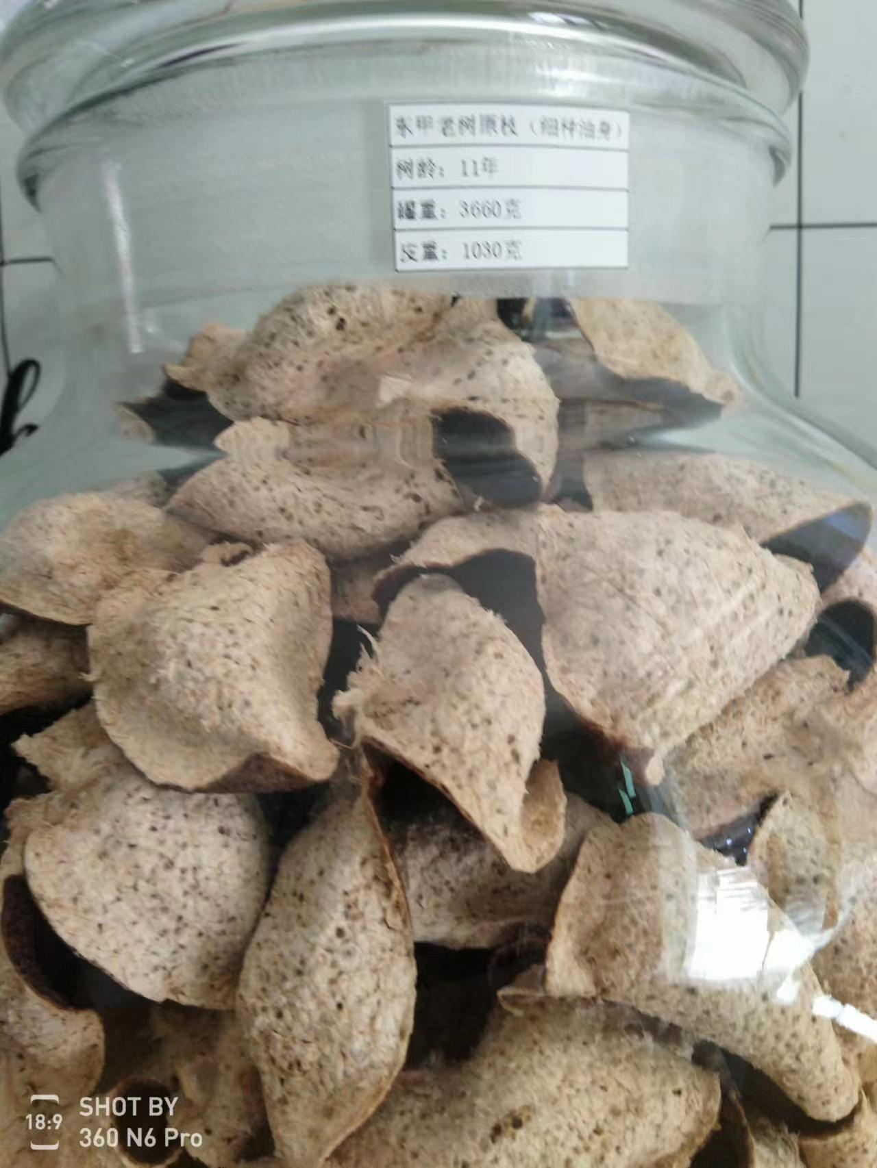 1d6070edbc162dcc48bb1992a41f84c1.jpg 1d6070edbc162dcc48bb1992a41f84c1.jpg