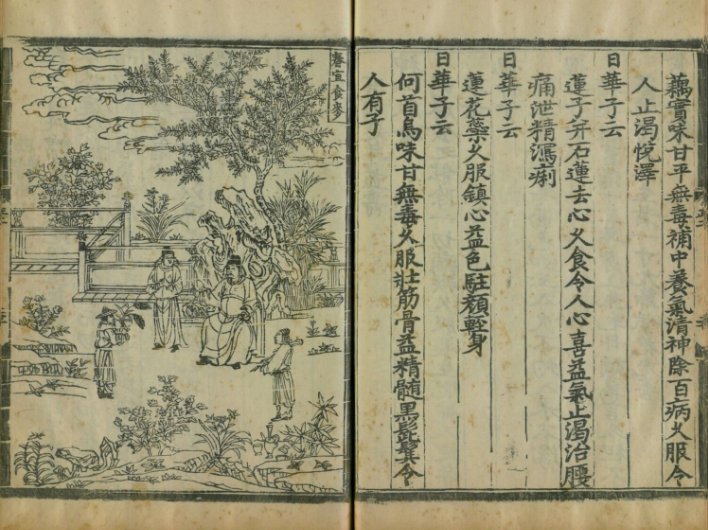 新會陳皮有哪些歷史典故由來傳說和發展簡介.png 新會陳皮有哪些歷史典故由來傳說和發展簡介.png