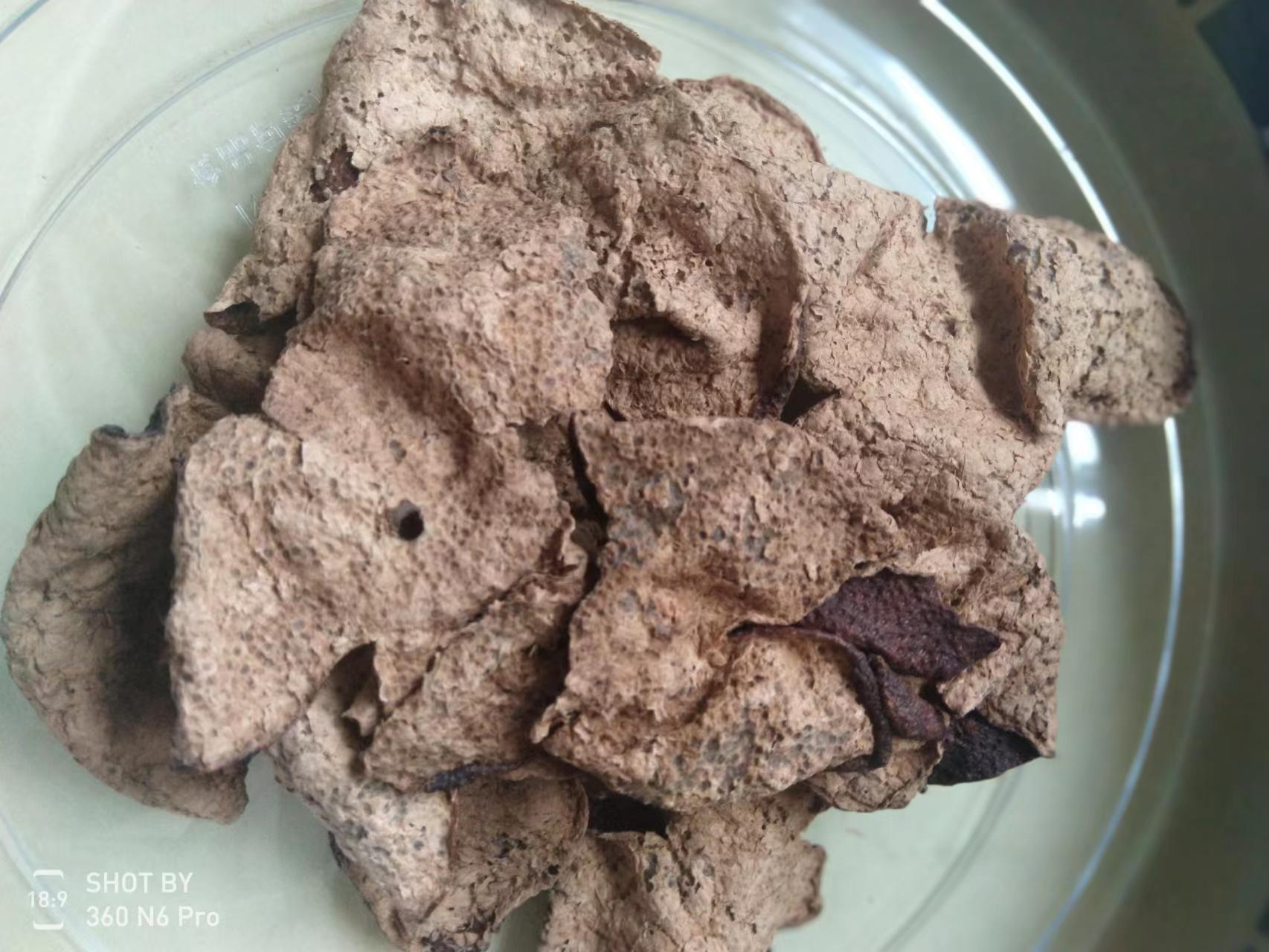 陳皮蟲是什么蟲?如何保存才不生蟲.jpg 陳皮蟲是什么蟲?如何保存才不生蟲.jpg