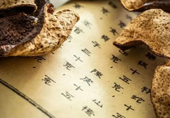 新會(huì)陳皮避坑指南,新手小白參考攻略.jpg 新會(huì)陳皮避坑指南,新手小白參考攻略.jpg