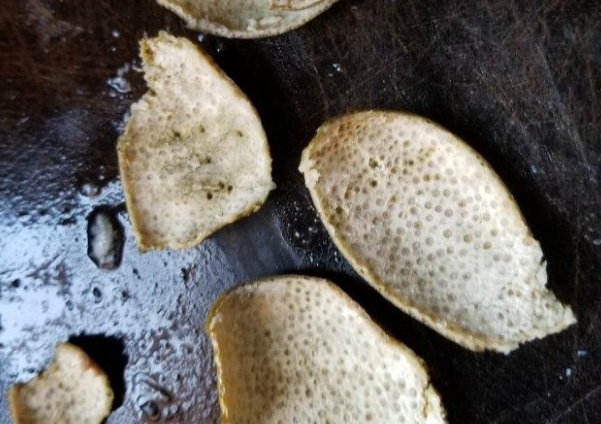 3ebf41af03b70556d06f4c40525c7cba.png 3ebf41af03b70556d06f4c40525c7cba.png