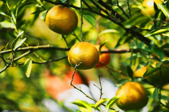 cf1bc170c292dc0dd559d7201d28f4a2.png cf1bc170c292dc0dd559d7201d28f4a2.png