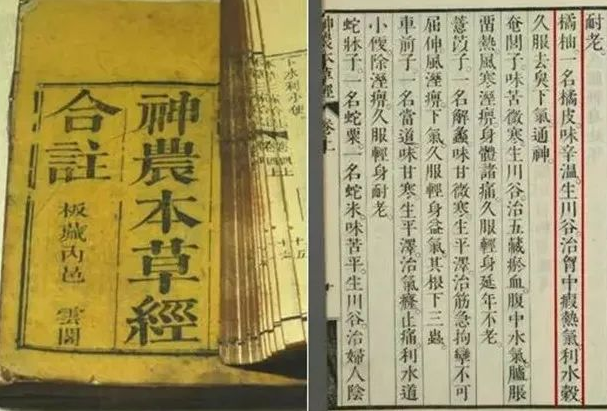 e1a05b811bf8cf742ab5b07632a888ea.png e1a05b811bf8cf742ab5b07632a888ea.png