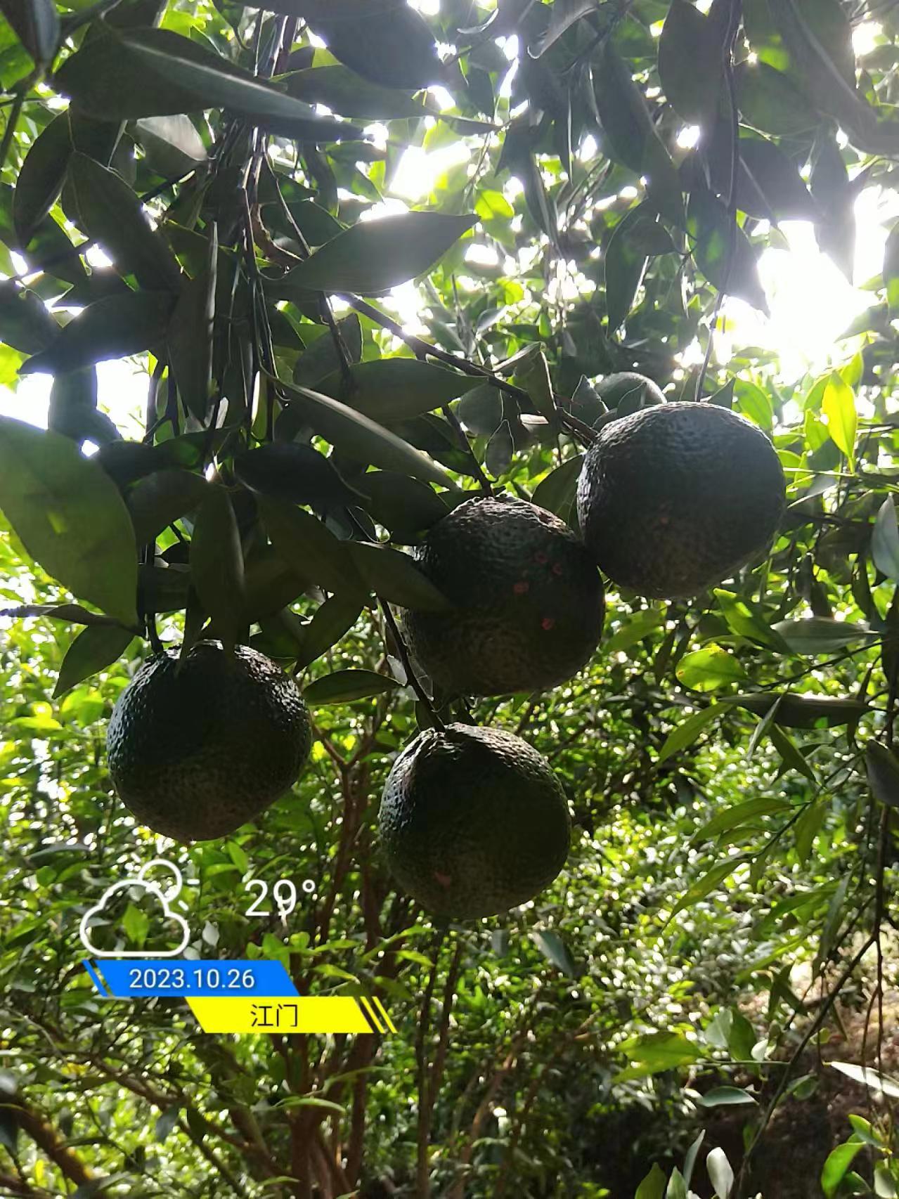 d1615c15fe7c0e6c79bc239dc63ffcb3.jpg d1615c15fe7c0e6c79bc239dc63ffcb3.jpg