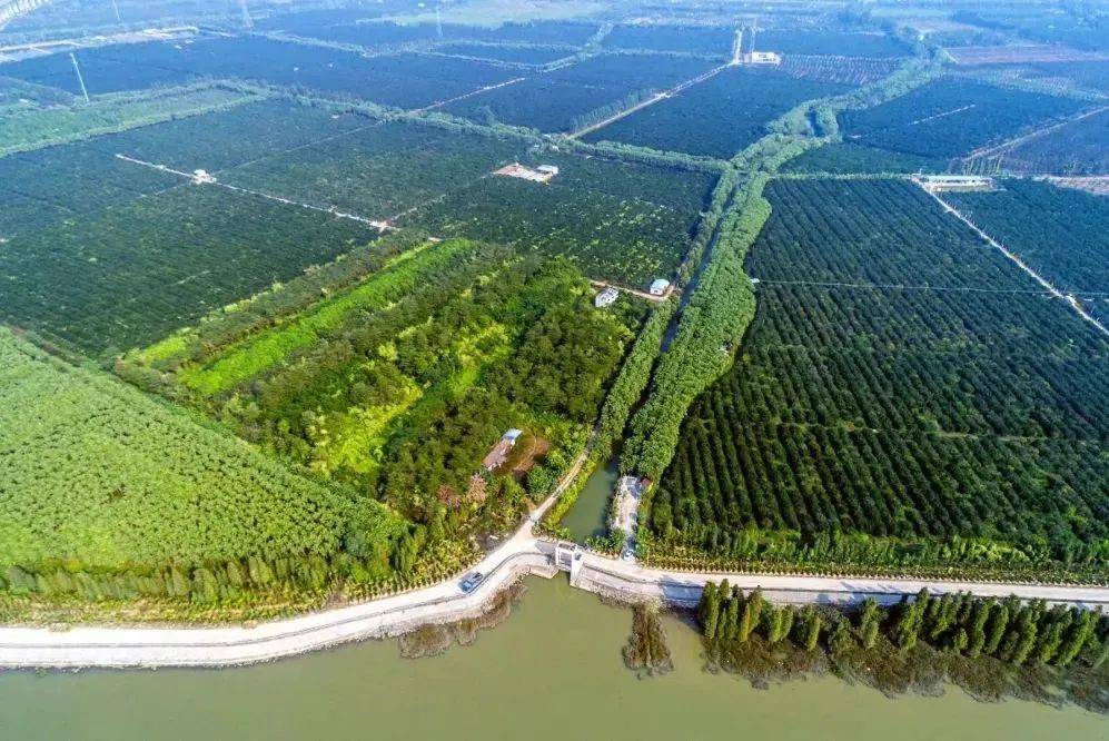 5bba15ec3d33c16b0f378f0a7b58339c.jpg 5bba15ec3d33c16b0f378f0a7b58339c.jpg