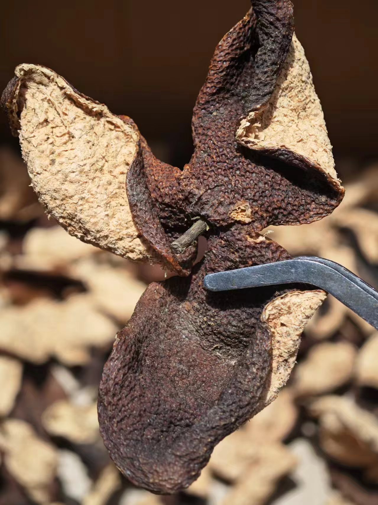 754353ee632bacb996996d0b1d537d69.jpg 754353ee632bacb996996d0b1d537d69.jpg