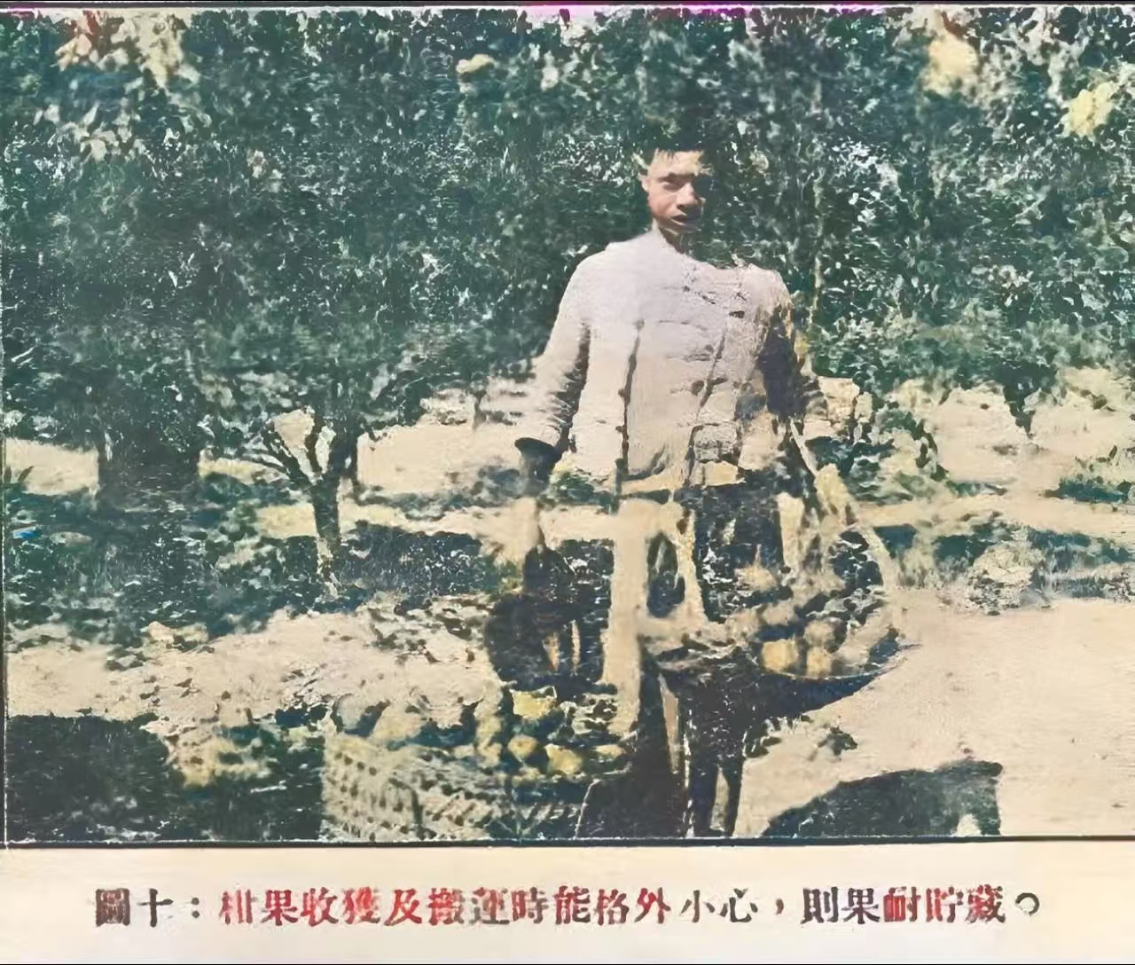 67ceecc732982639ff7ca1a8aa988d21.jpg 67ceecc732982639ff7ca1a8aa988d21.jpg